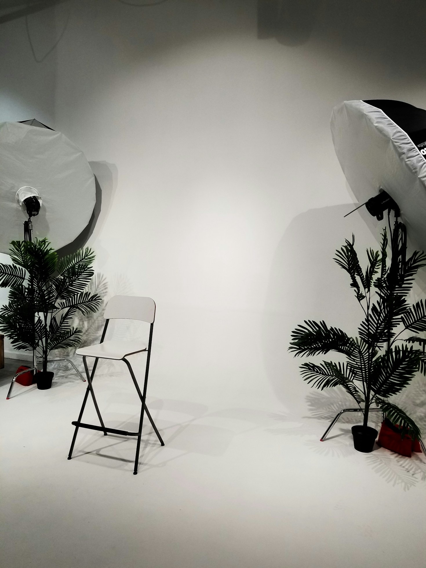 Why Slow Observation Enriches Creativity